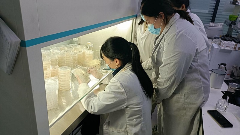 微生物檢測濾膜法操作規程是怎么樣的？