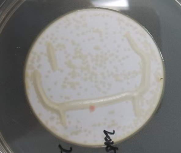 1740451056161755.png 11.png